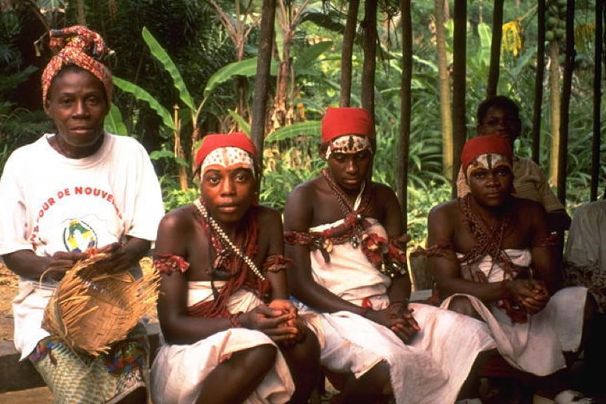 Understanding the Traditional and Modern Uses of Ibogaine in Africa