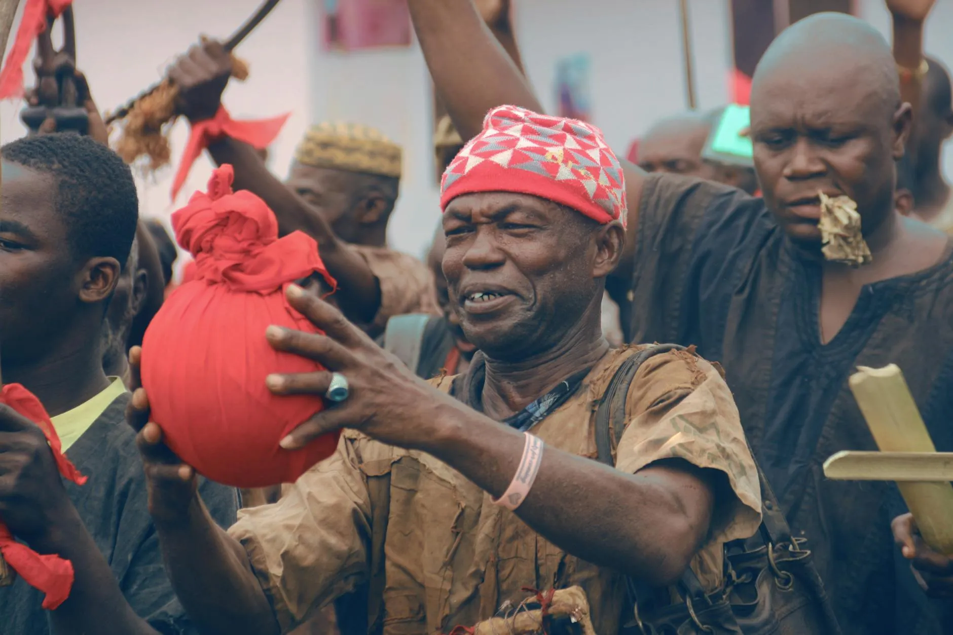 The Global Interest In Iboga: A Journey of Discovery